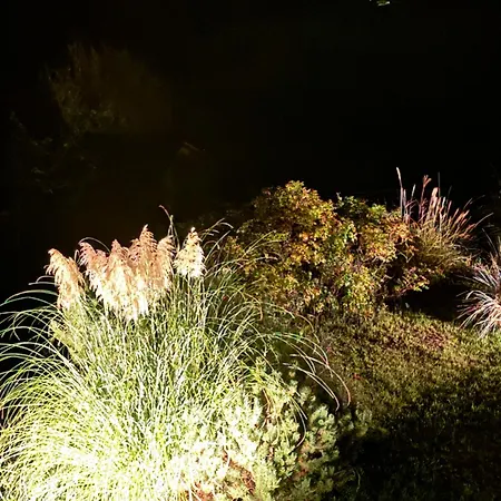 Am Rebstock Moewe דירה