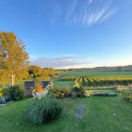 Am Rebstock Moewe דירה *